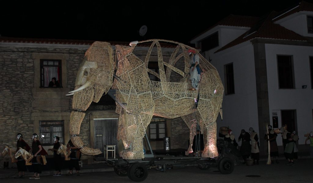 ACERT Elefante